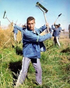 Cool Hand Luke working in prison