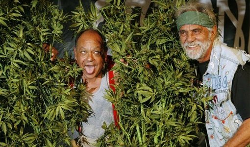 4/20 Pot ModernMan.com