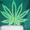 Why Pot Should Be Legal — And Why It Shouldn’t Legalize Pot ModernMan.com