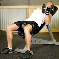 How To Look Better With Your Shirt Off plank incline db curls
