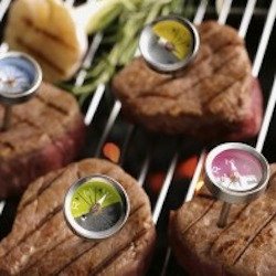 best way to grill steak, meat thermometer 