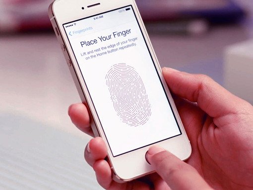 fingerprint