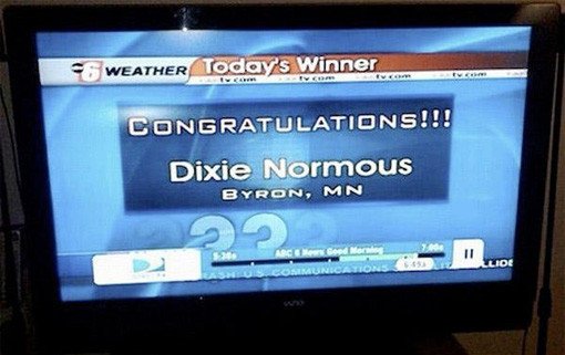 news fails dixie normous