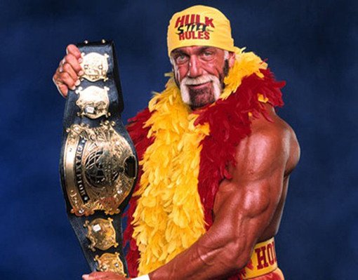 Hollywood Hulk Hogan