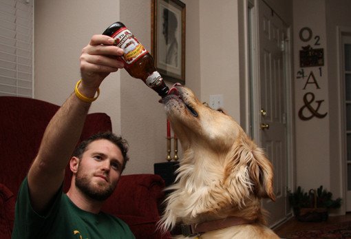 beer bong dog
