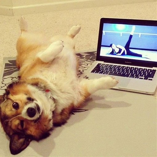 yoga tv