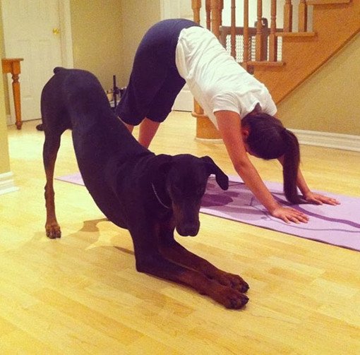 dog yoga pose