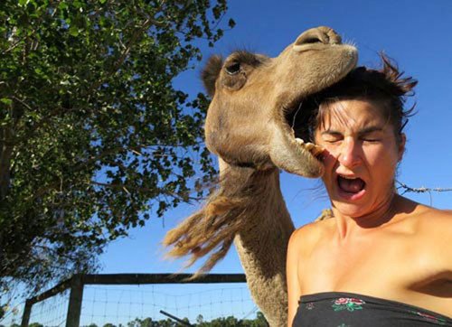 perfectly-timed-photos-funny-17