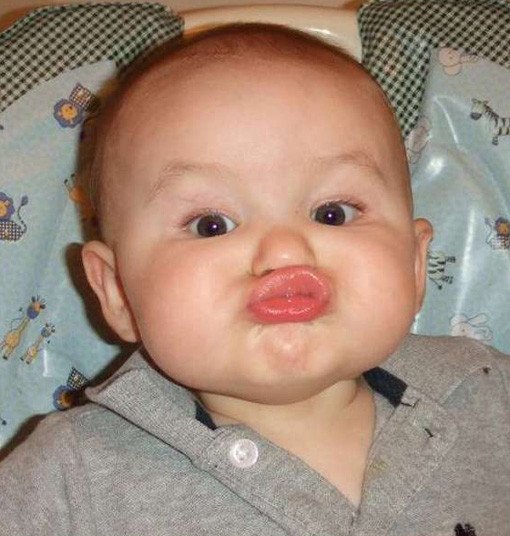 funny baby photo gallery baby puckered up for kiss