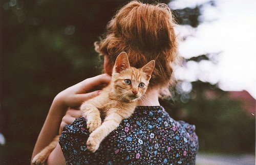 why date cat lady won't manipulate you