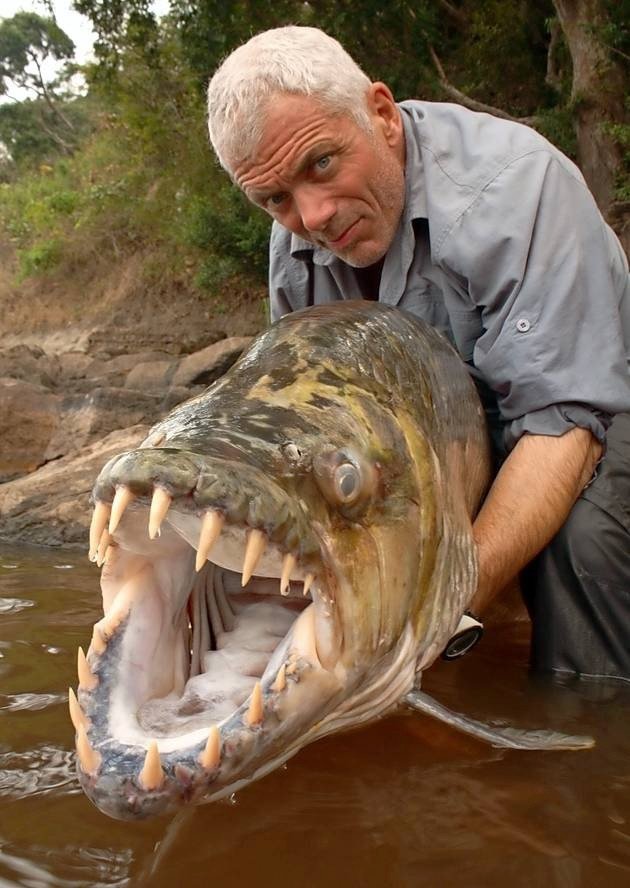 monster fish