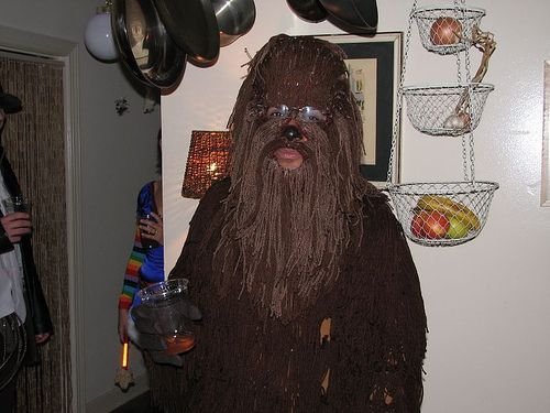 worst halloween costumes wookie