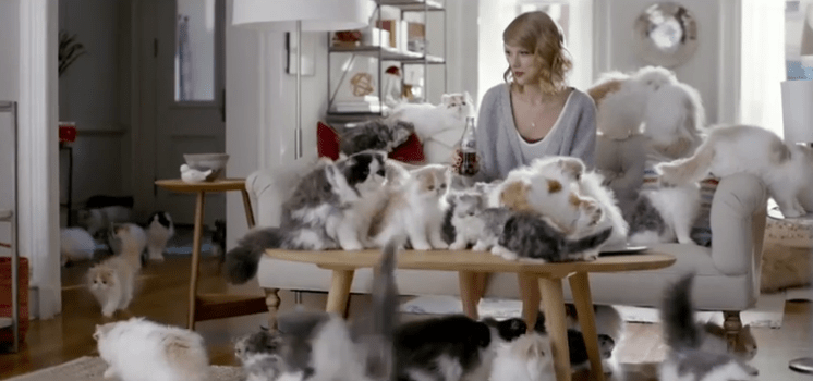 why date a cat lady she's smart