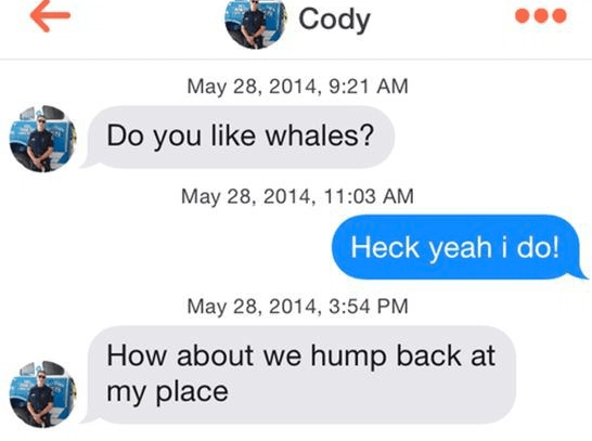 the worst best tinder messages