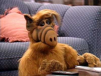 Michu Mescaros alf