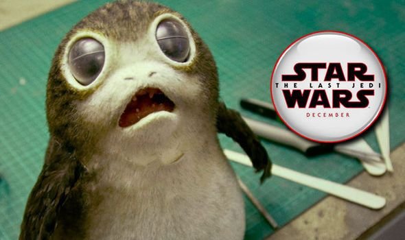 PORGS-843598