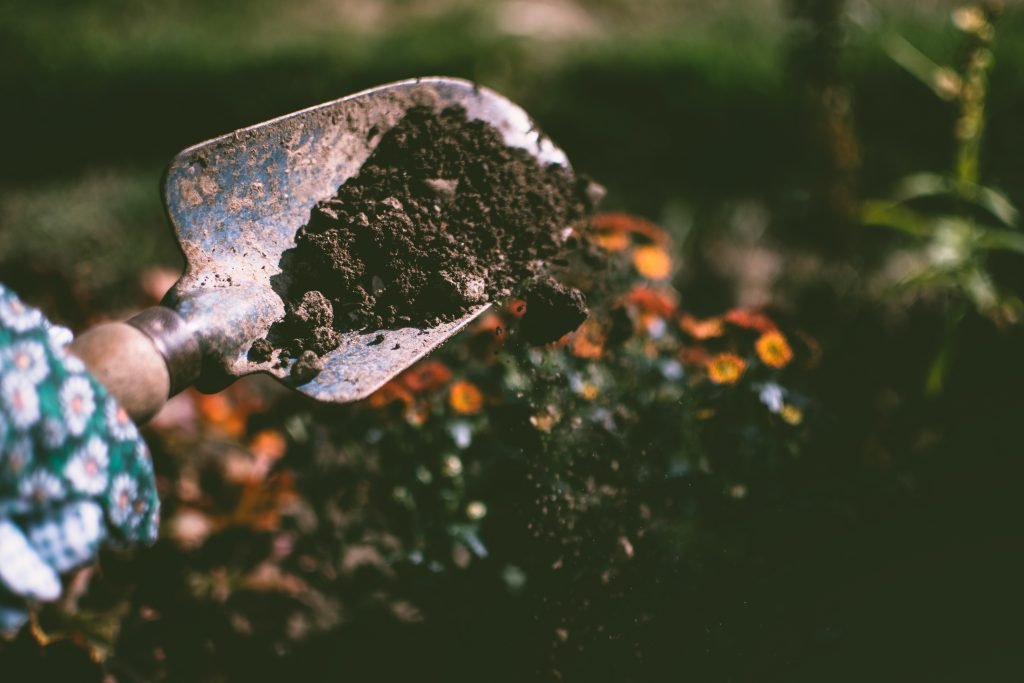 person digging on soil using garden shovel 1301856