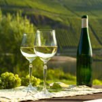 How is Wine Made: Everything You Need To Know