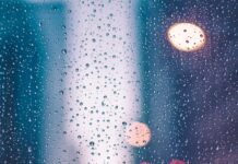 6 Things to Do On a Rainy Day