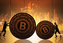 The Evolution of Bitcoin Regulation: Navigating Legal Frameworks Worldwide