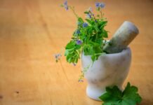 The Healing Power of Flowers: How Floral Therapy Benefits Mental Health