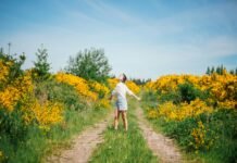 BetterHelp Outlines Mental Health Strategies for the Spring Season